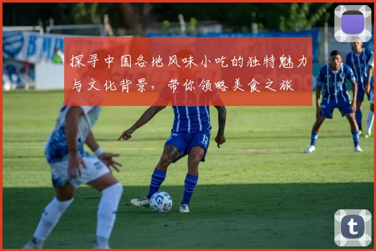 探寻中国各地风味小吃的独特魅力与文化背景，带你领略美食之旅