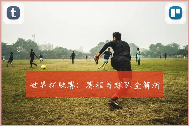 世界杯联赛：赛程与球队全解析