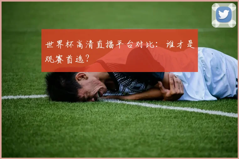 世界杯高清直播平台对比：谁才是观赛首选？