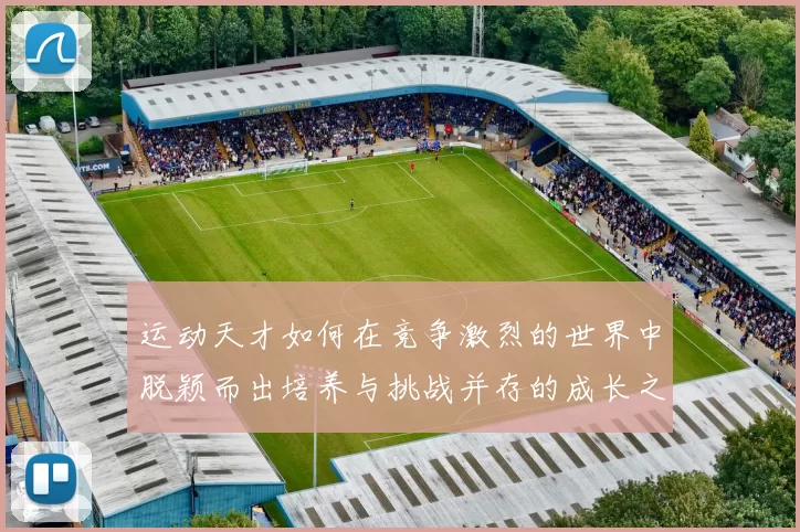 运动天才如何在竞争激烈的世界中脱颖而出培养与挑战并存的成长之路