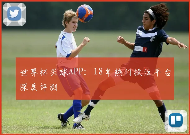 世界杯买球APP：18年热门投注平台深度评测