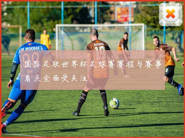国际足联世界杯足球赛赛程与赛事看点全面受关注