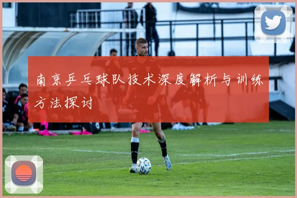 南京乒乓球队技术深度解析与训练方法探讨