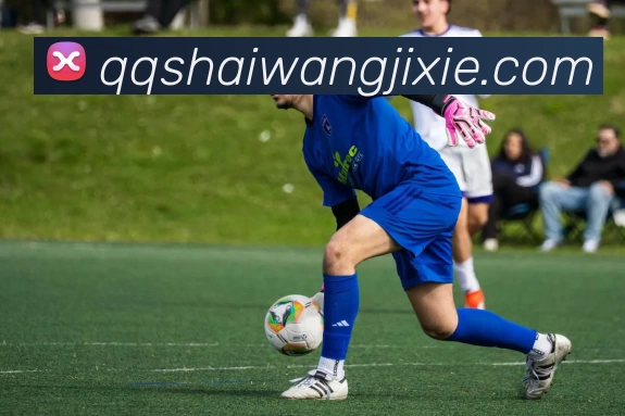 华体会体育发展历程